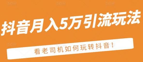 老古董·抖音月入5万引流玩法，附赠：抖音另类引流思路插图