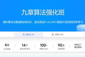 九章算法强化班课程