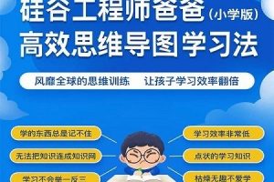 憨爸·硅谷爸爸的超强思维导图课：塑造儿童学习型大脑