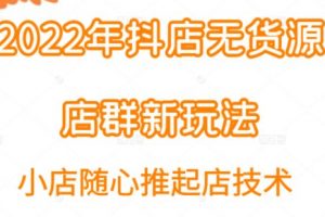 小卒-2022年抖店无货源店群新玩法汇总和随心推起店
