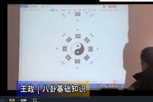 王政《皇极梅花六爻基础课程》