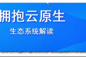 【大厂学苑】拥抱云原生视频课程（视频+资料+代码）