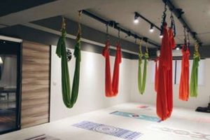 空中瑜伽：瑜伽墙绳系统培训工作坊（视频+课件）