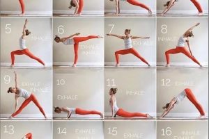 瑜伽体式精讲：小技巧破解高难度·瑜伽体式进阶实战课程