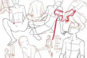 轻微课【小粉菇】人体骨骼肌肉理解篇之动漫人物绘画基础课程