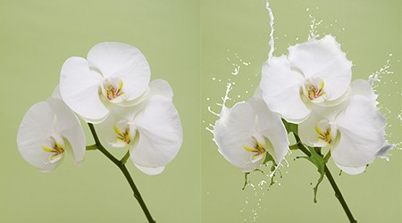 《PS影像创意系列教程》轻松掌握三大创意方法插图