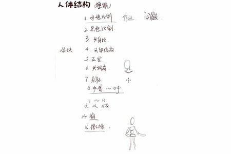 轻微课【小粉菇】人体结构与比例初级入门之动漫绘制基础课程插图1