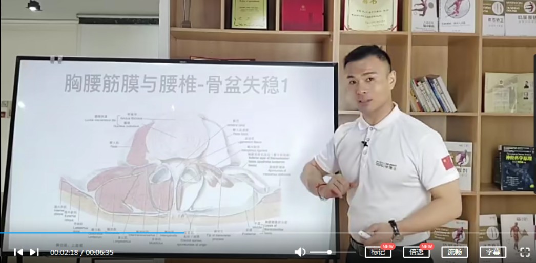 毕博士胸腰筋膜治百病视频教程插图1