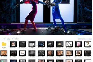 2021年刘杨人像精修课程【画质不错只有视频】