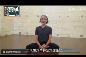 艾扬格瑜伽-精进提炼1~3月习练序列