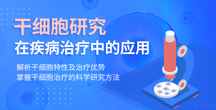 【小狗阅读】干细胞研究及在疾病治疗中的应用（完结）插图