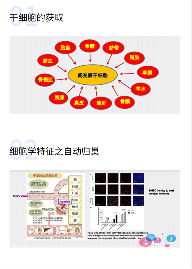 【小狗阅读】干细胞研究及在疾病治疗中的应用（完结）插图1