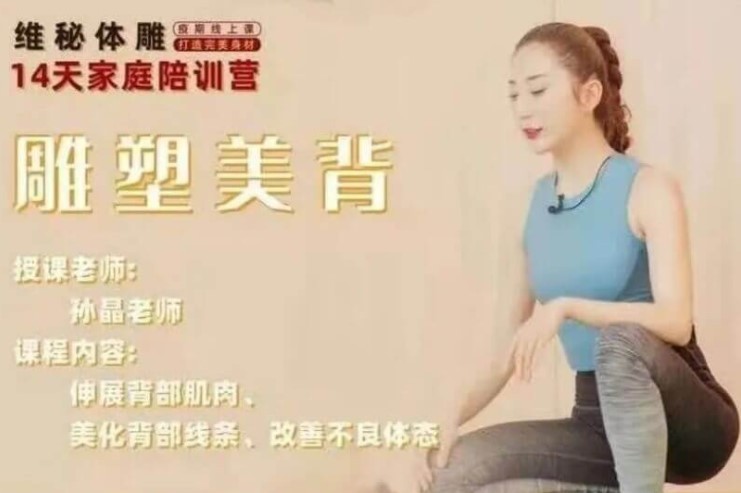 孙晶维密体雕《14天家庭陪训营-美背训练》视频课程+笔记插图