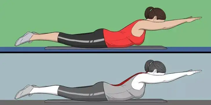 全身108块肌肉拉伸精讲课程插图