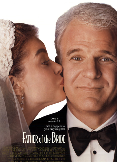 新岳父大人1-2系列电影合集下载插图