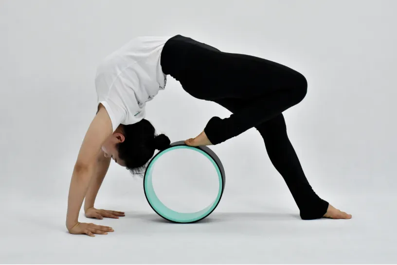 宝儿轮瑜伽系统精讲视频课程(初中高级)插图 宝儿轮瑜伽系统精讲视频课程(初中高级)插图