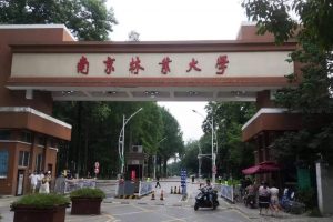2022年南京林业大学研究生报录比来了，考研同学速看！