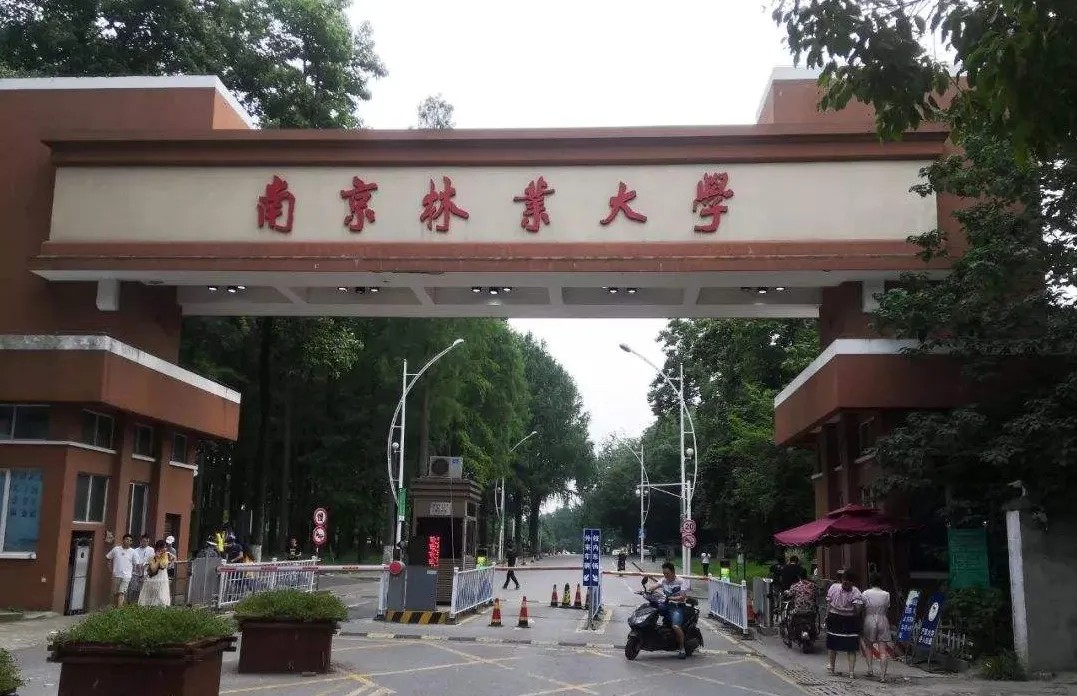 2022年南京林业大学研究生报录比来了，考研同学速看！插图