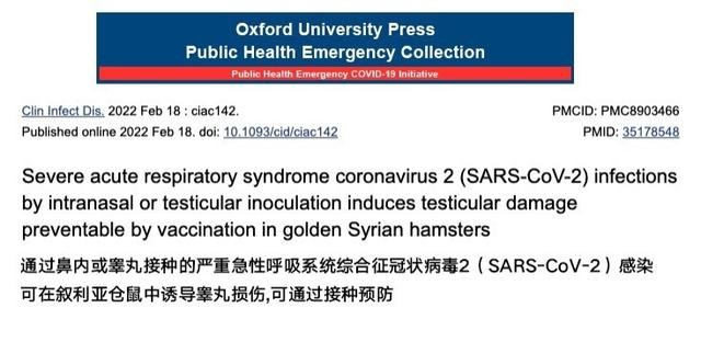 警惕：新冠病毒或造成睾丸损伤，导致男性生育能力下降插图1