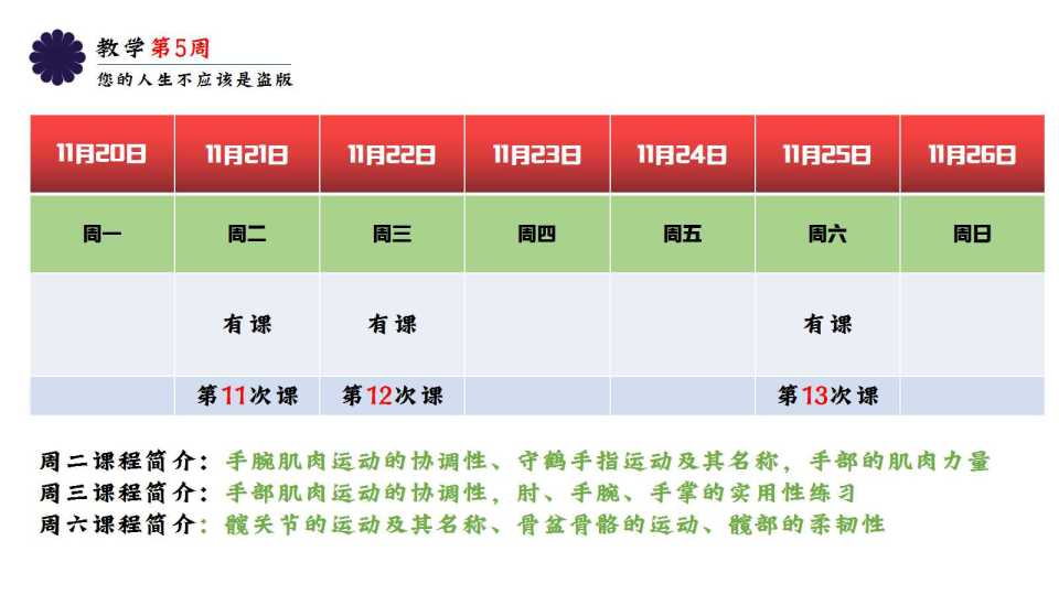 李哲教你学解剖《运动解剖书2大讲堂》百度网盘下载插图10 李哲教你学解剖《运动解剖书2大讲堂》百度网盘下载插图10