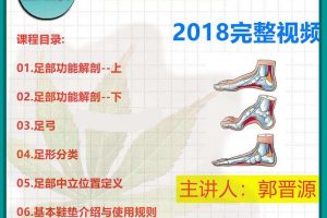 郭晋源足踝物理康复治疗课程完整视频