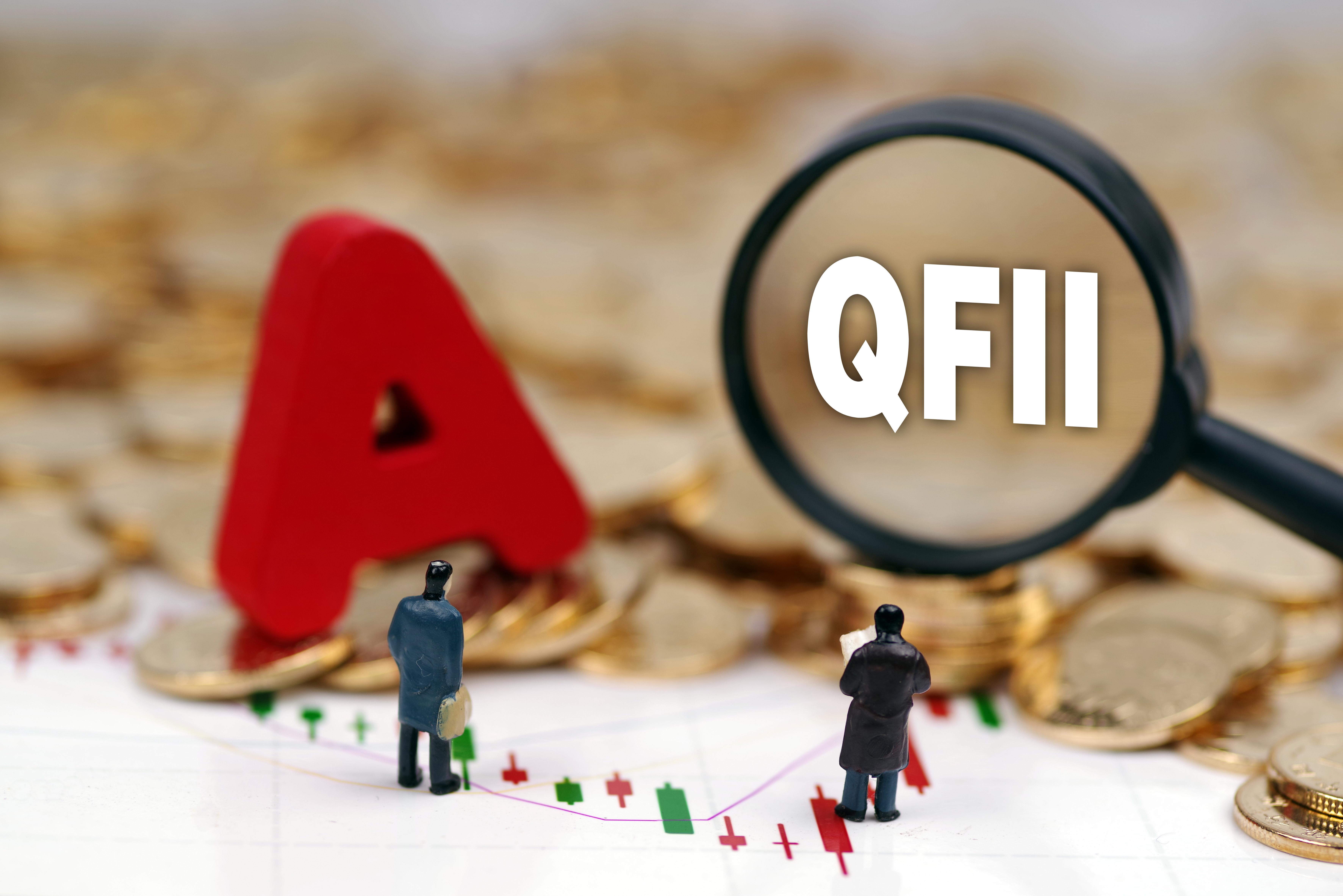 分析QFII投资行为与基金公司投资行为异同插图