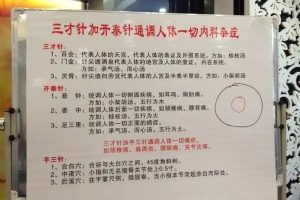 吕即来中医讲座-吕氏三才针法