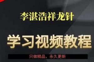 李湛浩降龙针法视频课程+pdf讲义