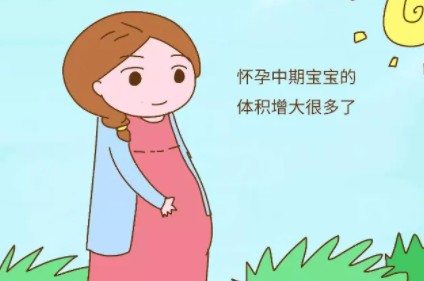女性怀孕后身体会出现哪些变化？怀孕初中晚期症状介绍插图2