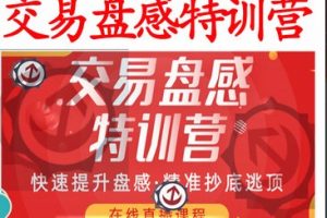 【无为投资】无为战法之《交易盘感特训营》第237期