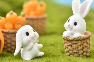 【萌兔】年赚10万搬砖大部队第二期课程