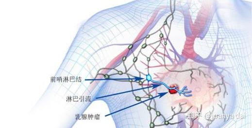 刮腋毛、喝蜂蜜易得乳腺癌都是谣言插图1