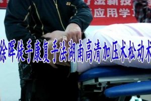 徐晖老师徒手康复手法加压术松动术高清视频