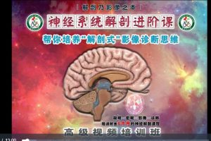 《神经系统解剖进阶课》帮你培养解剖式“影像诊断思维“ 高级视频培训班课程111讲