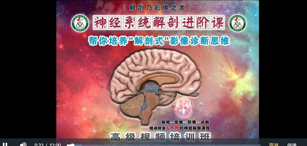 《神经系统解剖进阶课》帮你培养解剖式“影像诊断思维“ 高级视频培训班课程111讲插图