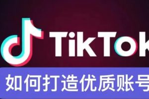 Tiktok账号系统打造，4节课带你玩转Tiktok