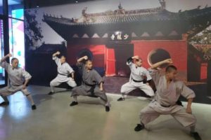 释行宇少林寺十二弹腿教学全集_慢动作教学视频