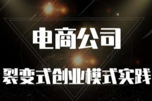 铜舟学堂《电商公司裂变式创业模式实践》视频课程 百度云下载