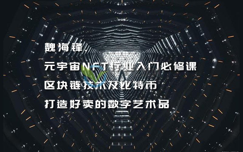 魏海锋《元宇宙NFT行业入门必修课》区块链技术及比特币，打造好卖的数字艺术品插图