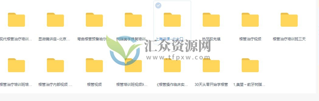 15套全国名师（赵廷旺、赵奇、彭彬、候本祥、马小寒等）牙体牙髓根管治疗培训及实操课插图