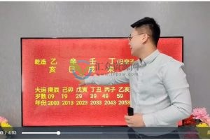 李极泉新派八字算命 新派八字实战案例视频课程