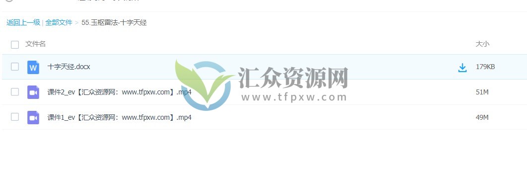 玉枢雷法-十字天经 视频课程+讲义 百度云下载插图