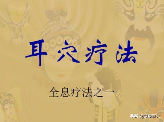 张耕田、李家琪老师耳穴疗法多套视频课程合集（带课件） 百度云下载插图2