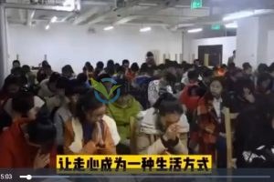 走心家族课程（62集视频）