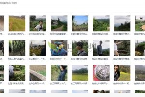 风水大师古晓华风水现场真实案例解析（204个案例）