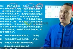 仙扑门2022年最新梅花易数全套视频课程 百度云下载