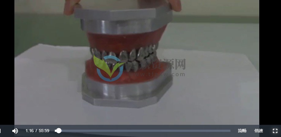 武广增正畸课最终完工版视频 百度云下载插图