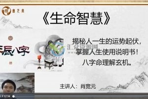 宽元堂-盲派八字象法《生命智慧》筑基班+《高专筑基》四柱象法班