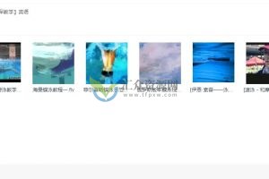 游泳世界名将游泳教学示范视频