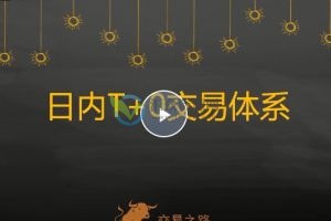 跟着陈凯学交易-股票日内T+0交易体系 百度云下载